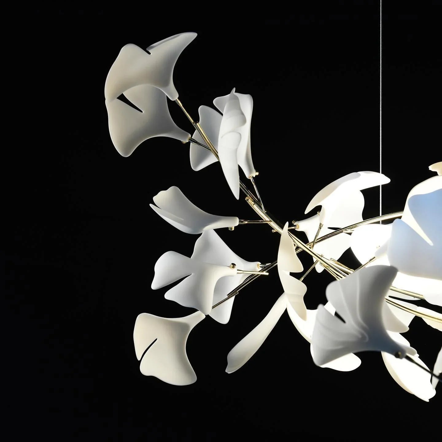 Modern gold and white ginkgo leaf chandelier with sculptural design, illuminated against black background