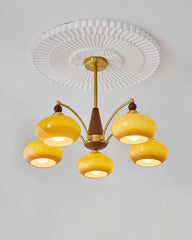 Tillary Wood Chandelier - YhLamps