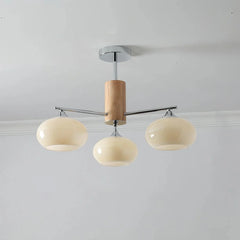 Elliptical Persimmon Chandelier - YhLamps
