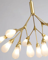 Aiwen Chandelier - YhLamps