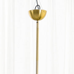 Gooseneck Chandeliers - YhLamps