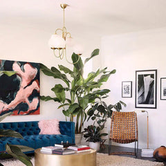 Gooseneck Chandeliers - YhLamps