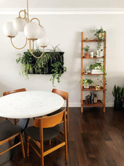 Gooseneck Chandeliers - YhLamps