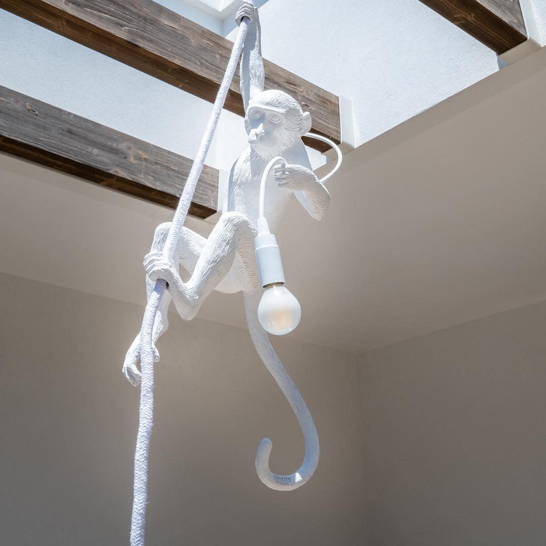 Monkey Pendant Lamp - YhLamps