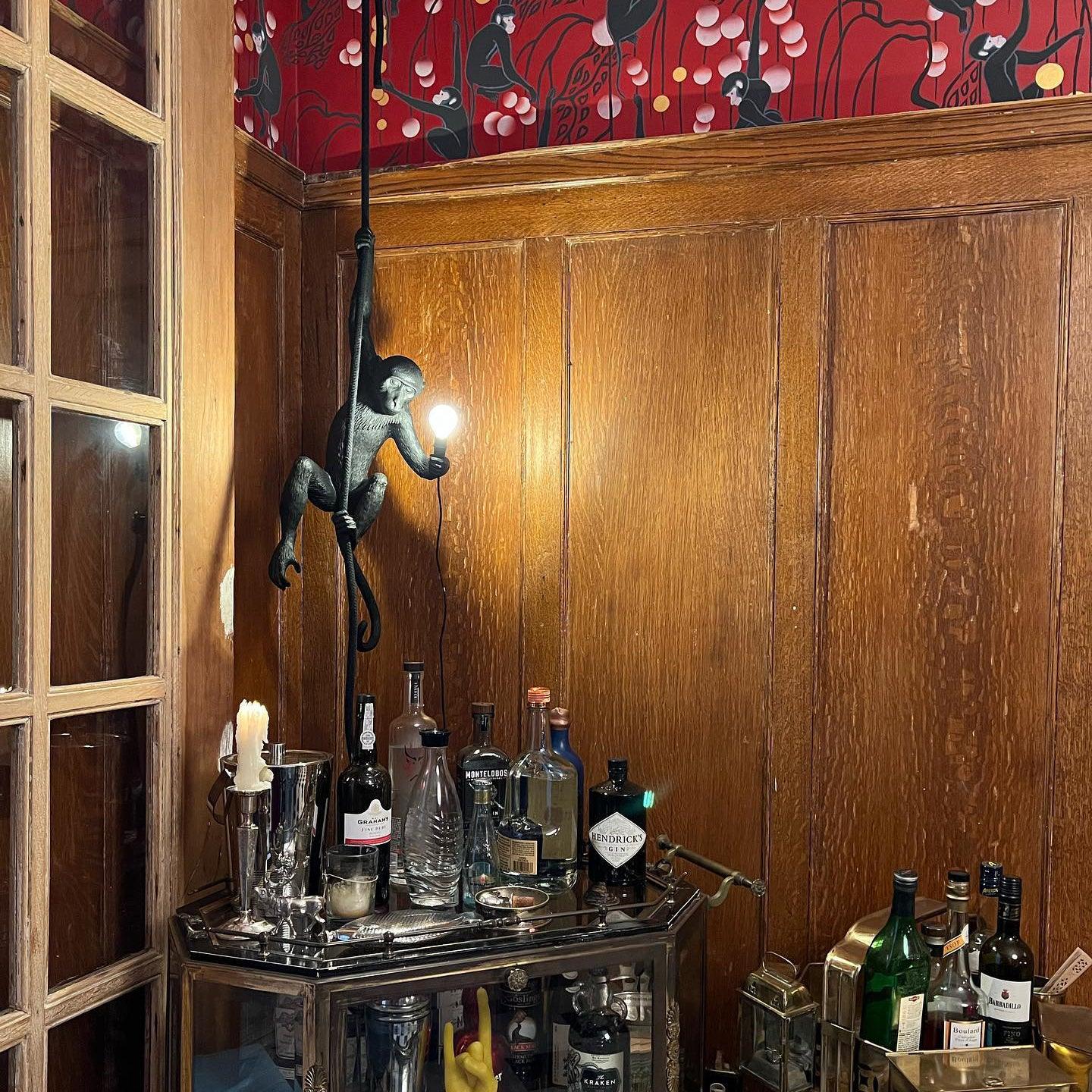 Monkey Pendant Lamp - YhLamps