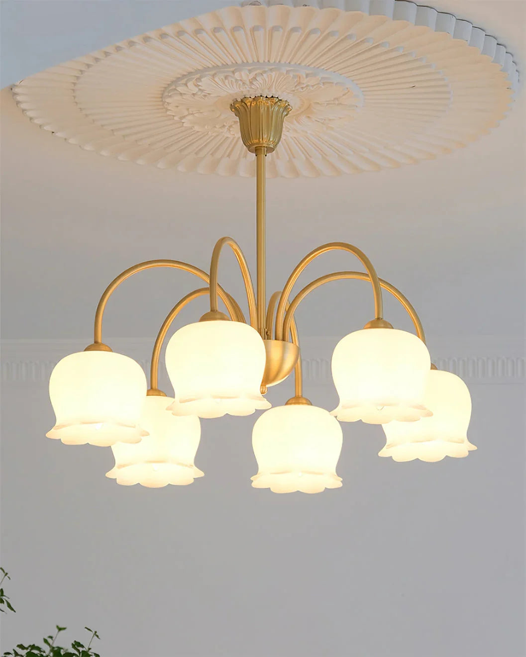 Morup Chandelier - YhLamps