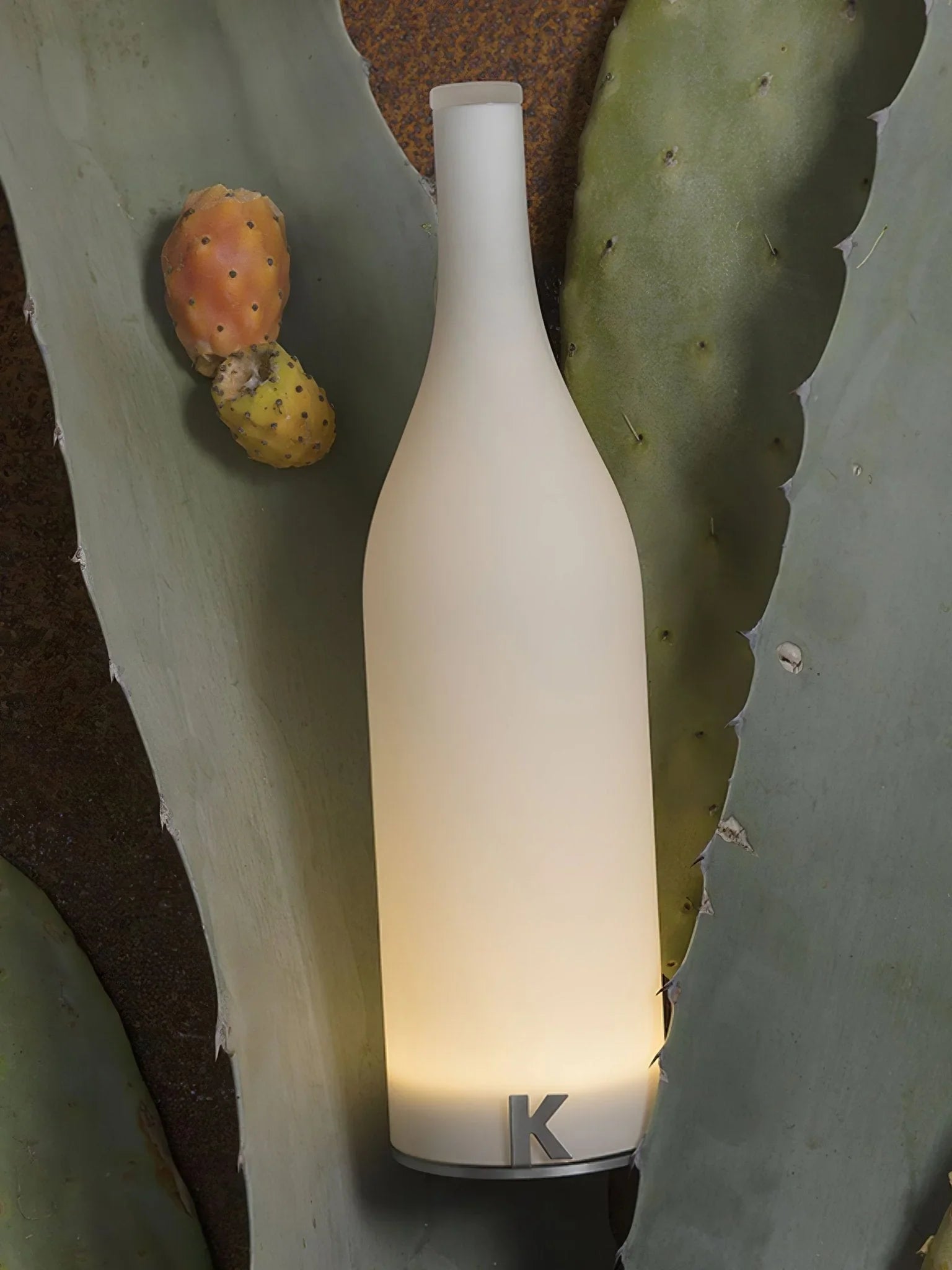 Modern white table lamp with warm light on large green cactus leaf, YH Lamps battery design