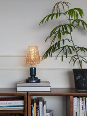Modern black USB table lamp with ribbed glass shade on books, next to potted plant on shelf