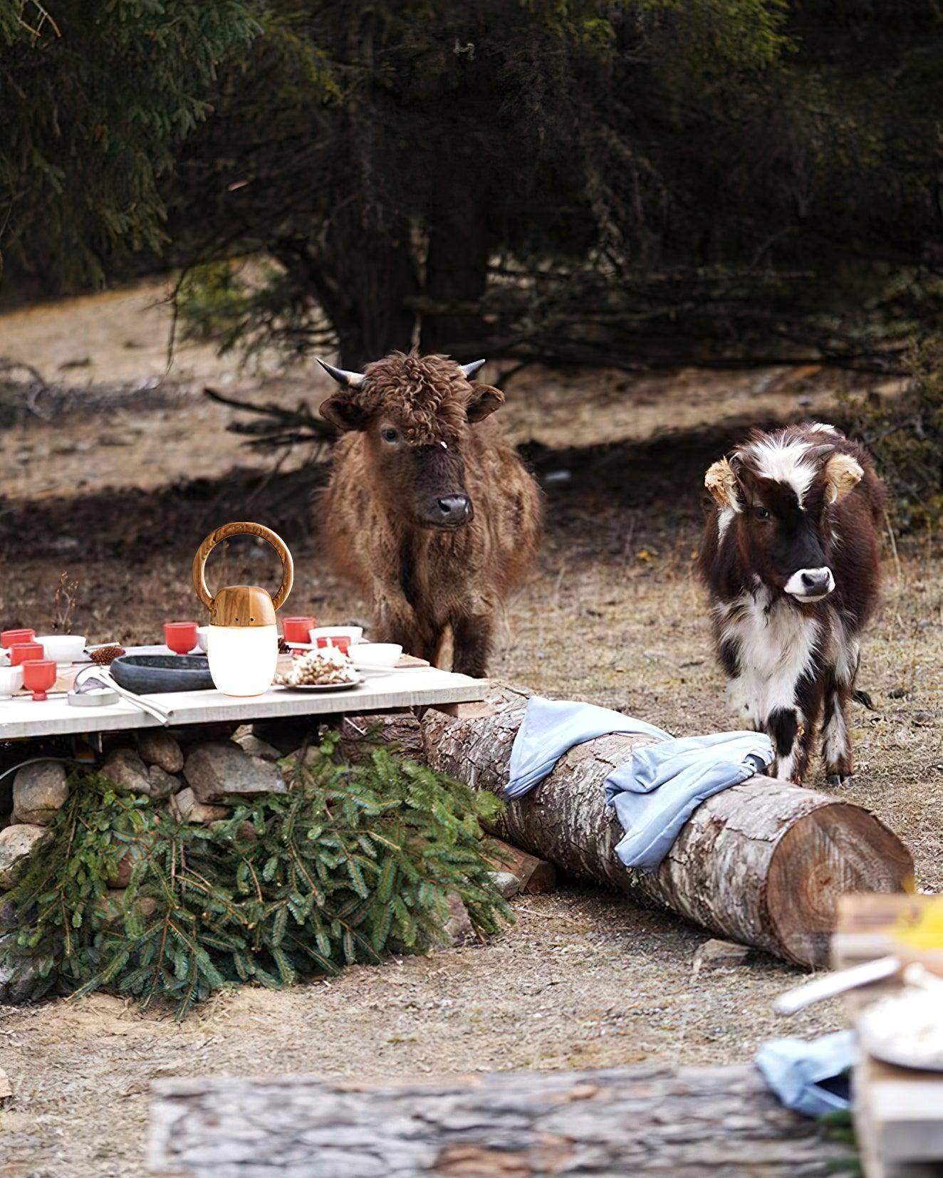 Modern Zen Buddha table lamp with warm light on rustic outdoor picnic table, YH Lamps
