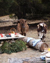 Modern Zen Buddha table lamp with warm light on rustic outdoor picnic table, YH Lamps