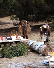 Modern Zen Buddha table lamp with warm light on rustic outdoor picnic table, YH Lamps