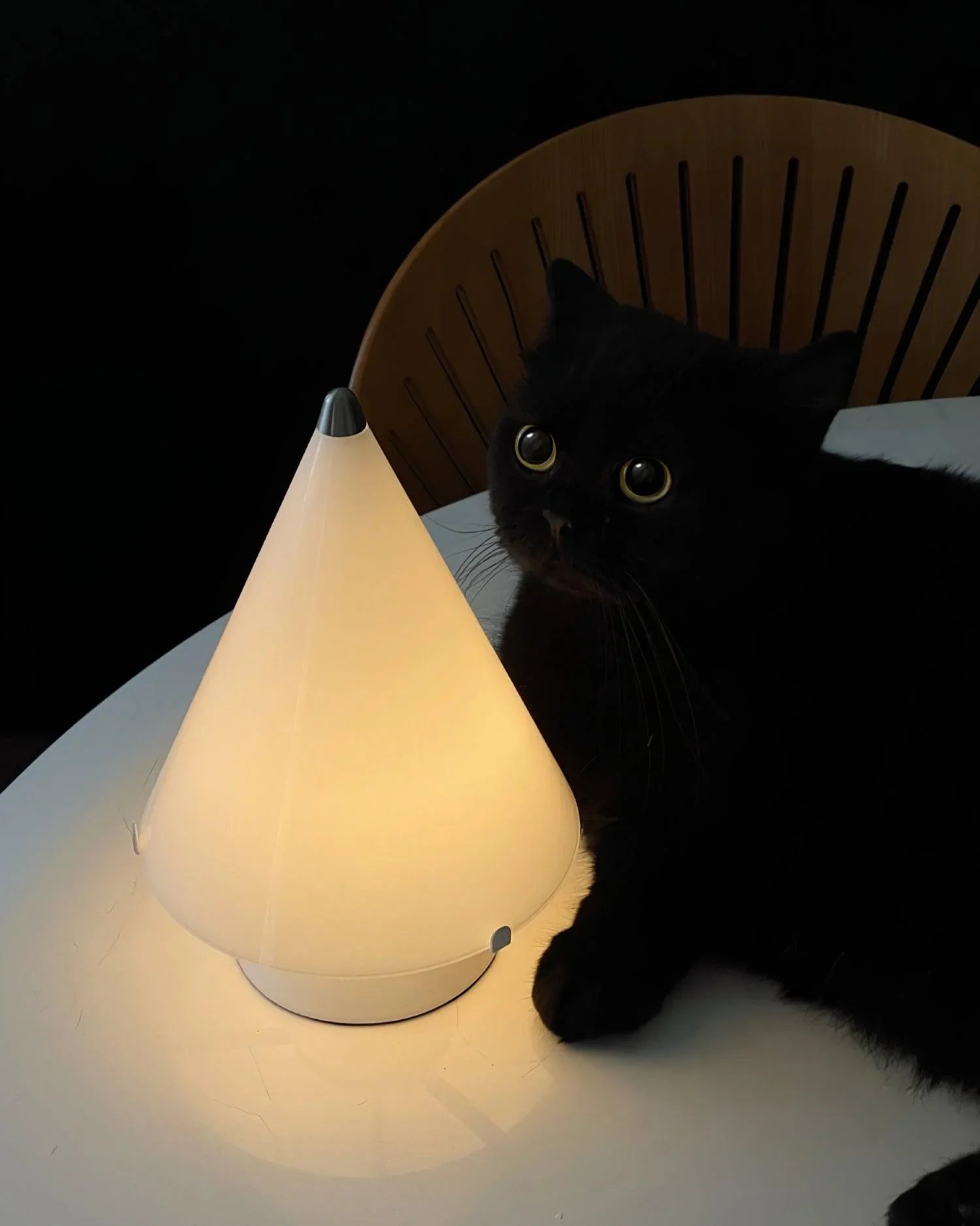 Modern white cone table lamp with touch switch on a white table beside a black cat, YH Lamps