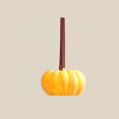 Portable Pumpkin Built-in Battery Table Lamp - YhLamps