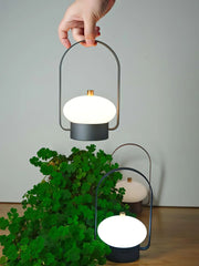 Modern portable dark red table lamp with touch switch and soft light, by YH Lamps, on wooden surface next to green clover plant.