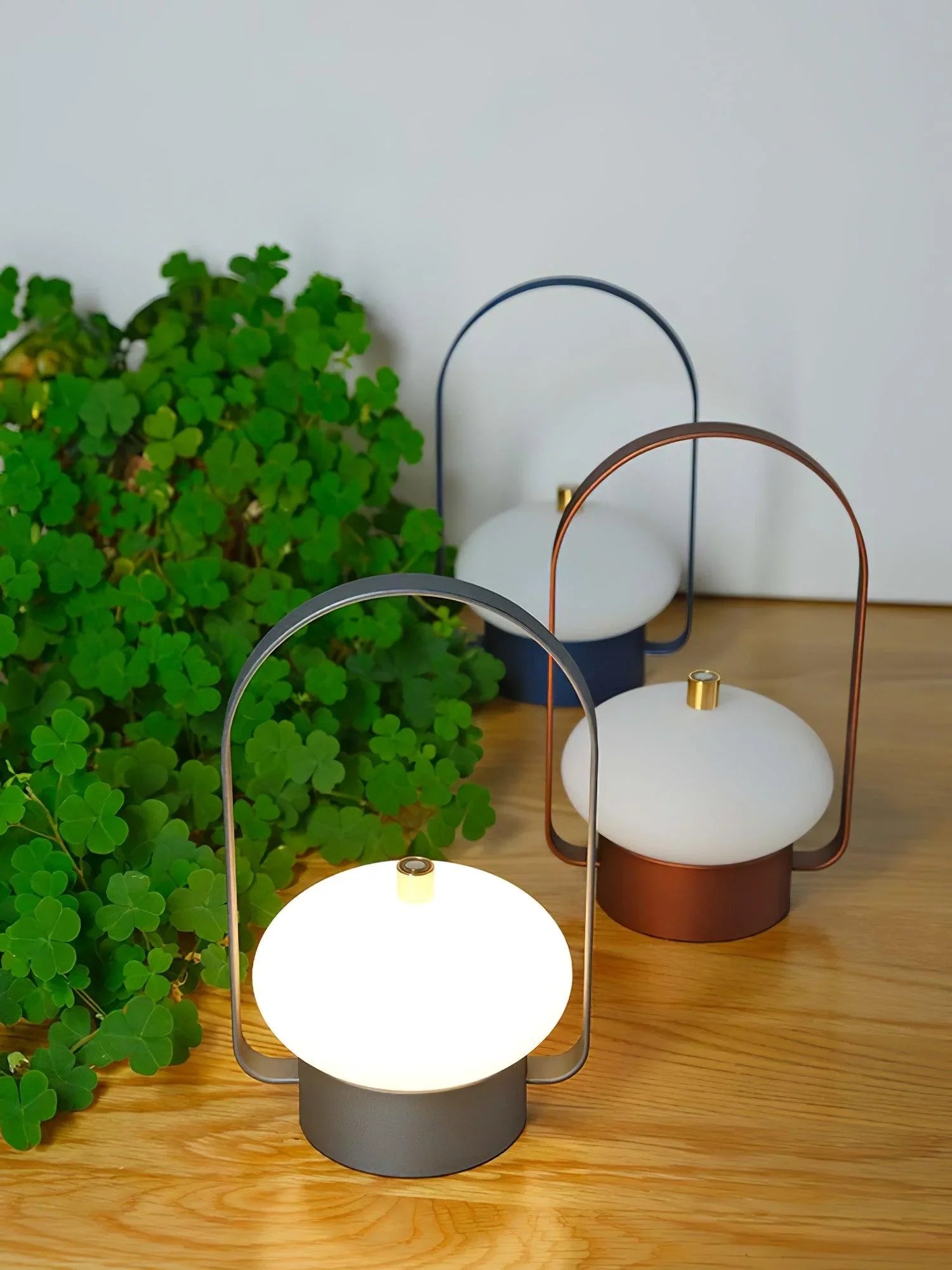 Modern portable table lamps with touch switch and built-in battery, shown on a wooden surface near green plants, from YH Lamps.