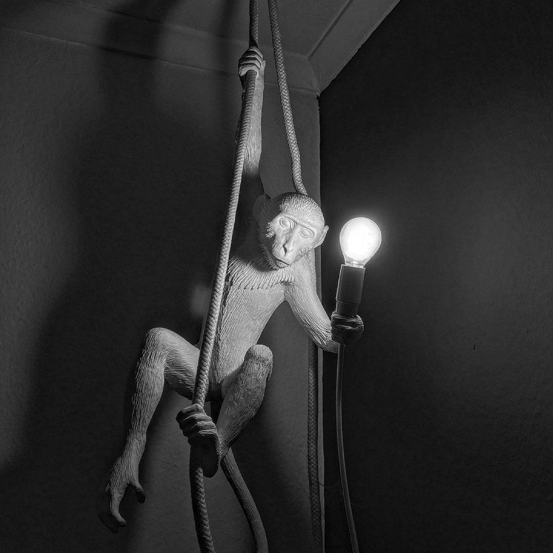 Monkey Pendant Lamp - YhLamps